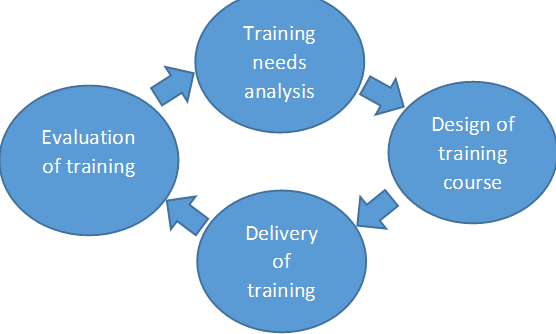 Training needs assessment Strategies