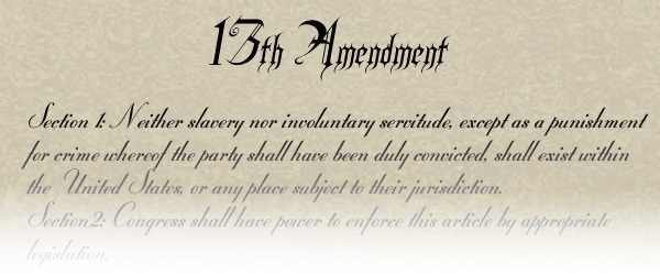 Criticisms to the 13th amendment