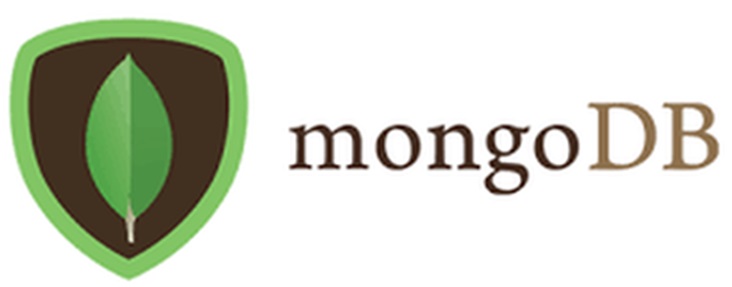 Data Models possible for MongoDB