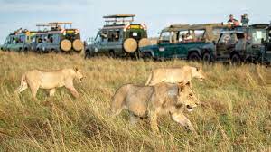 Maasai Mara National Park: Where the Wild Roams Free